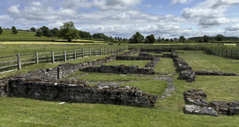 A stone wall in a field with Vindolanda in the background
AI-generated content may be incorrect.